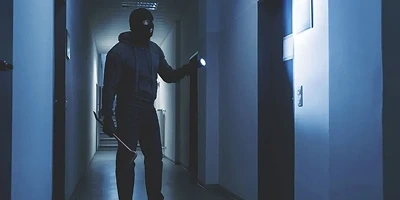 سیستم اعلام سرقت